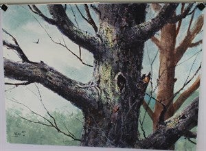 Image description is not available for DU1982.2